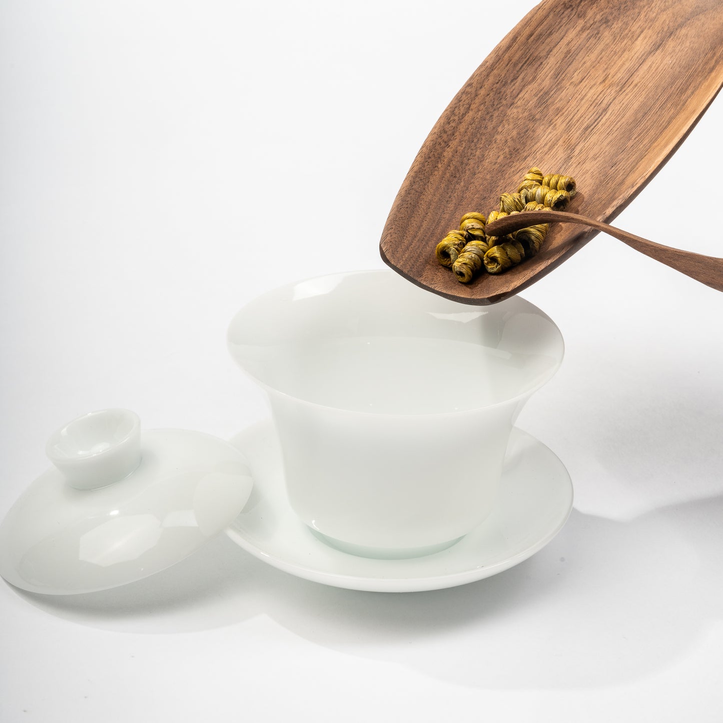 Dendrobium officinale Kimura & Migo (铁皮石斛)