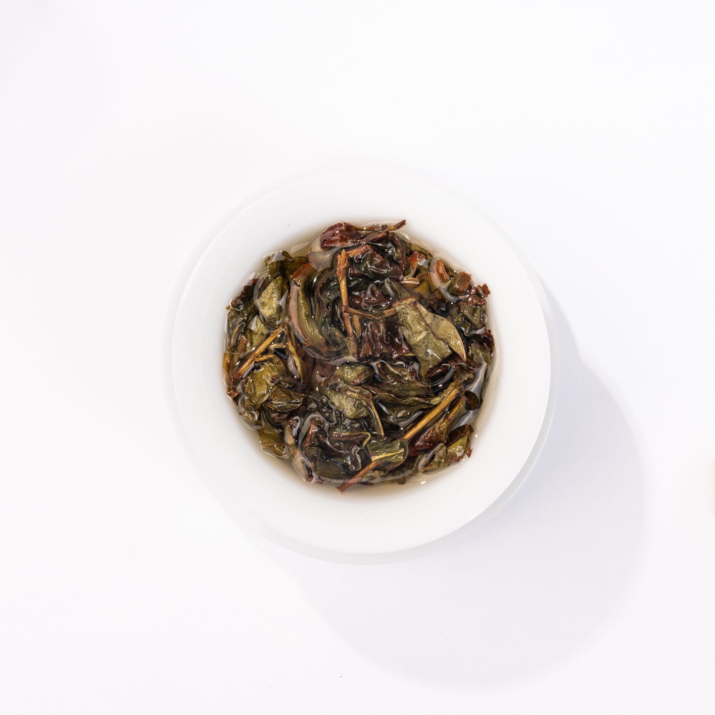 Old Fir Narcissus (老枞水仙)
