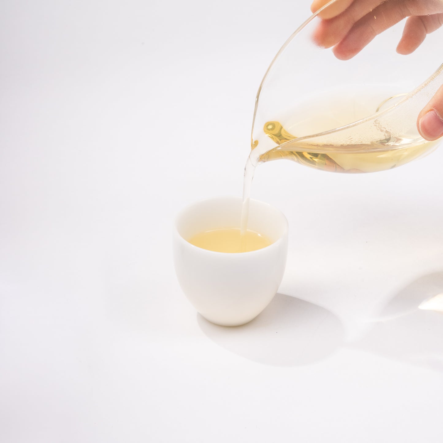 Anji White Tea (安吉白茶)