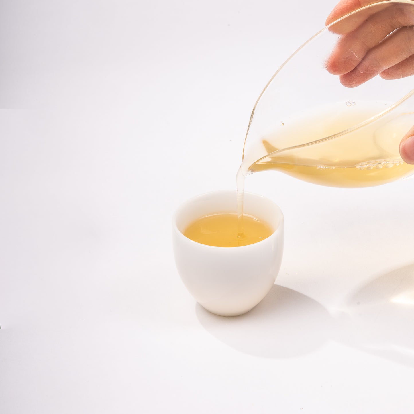 Bi Luo Chun (Green Spiral 碧螺春)