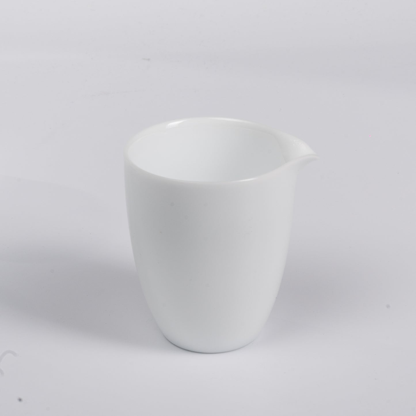 12-Piece Ice Type Dehua White Porcelain Tea Set (冰种德化白瓷12头茶具套装)